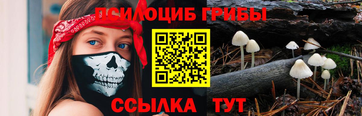 Новоуральск  Галлюциногенные грибы прущие грибы  закладки  Галлюциногенные грибы Psilocybe  Вход с VPN 